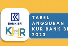 Cek Brosur Pinjaman KUR BRI 29 November 2023, Penurunan Bunga Rendah Buruan Daftar Sekarang!