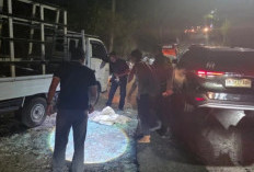 Detik-Detik Tragis! Buruh di Bali Tewas Tertimpa 8 Lembar Kaca 10mm Saat Memindahkan Muatan