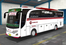 Kapan BussID Update Versi Terbaru di 2023? Berikut Jadwal dan Tambahan Fiturnya