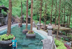 Harga Tiket Masuk Wisata Baru Guci Forest Tegal Tahun 2023, Healing yang Adem Diantara Pepohonan Pinus