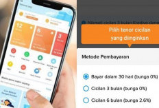 DC Kredivo Bisa Datang Mengintai Kapan Saja! Jangan Sekali-Kali Berani Galbay