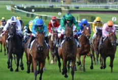 Résultats PMU et Rapports des Courses Lundi Aout 2024 Vérifiez Si Vous Avez De La Chance