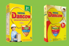 Harga Susu Advanced Excelnutri di Minimarket (Indomaret & Alfamart) Terbaru 2023, Ada Varian Sachet dan Box!
