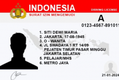 Tahapan dan Syarat Perpanjang SIM Online Pekalongan, Ikut dan Lengkapi Berkasnya Disini!