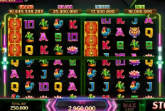 Kode Pola Room Panda Higgs Domino Minggu, 24 Desember 2023: Gacor Banget! Banjir Chip Hingga 2B