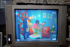 Ciri-Ciri Flyback TV Cina Rusak, Kalau Muncul Tanda-Tanda Ini Buruan Cari Pengganti yang Baru