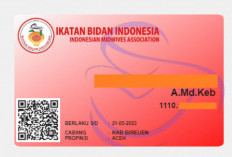 Cara Cetak atau Download KTA IBI, Tinggal Unduh Via Website Pakai Tutorial Berikut Ini