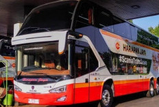 Agen Bus Harapan Jaya Terdekat di Sekitar Anda (Sidoarjo-Surabaya) Sekitarnya, Berikut Lokasi Lengkapnya