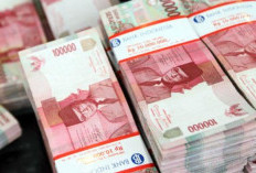 7 Rekomendasi Pinjaman Online Ilegal Tenor Panjang Sampai Lebih Dari 12 Bulan, Pinjam Banyak Bebas Galbay 