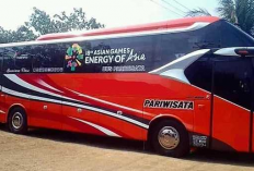 10+ Daftar Agen Bus Pasar Rebo Jakarta Timur : Alamat, No Hp, Jurusan, Bisa Booking Sekarang Sebelum Lebaran!
