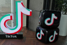 Tips Konten FYP Sampai Viral, Cek Jam Posting TikTok Febuari 2024 Dapatkan Banyak Views Hingga Followers!