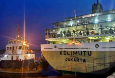 Jadwal Kapal Pelni Rute Sampit Semarang Februari 2023 Lengkap Dengan Harga Tiket dan Cara Pemesanannya