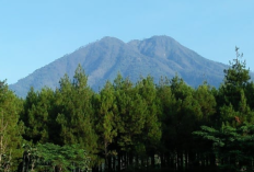 Juru Kunci Gunung Kawi, Menjaga Kelestarian Tradisi dan Menghormati Karomah Leluhur