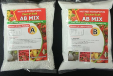 Cara Racik Pupuk AB Mix Melon Untuk Tanaman, Begini Tutorial yang Baik dan Benar!
