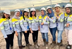 Info Loker PT Bina Sarana Sukses Benarkah Penipuan? Cek Faktanya Hanya Disini Langsung dari Pelamar!