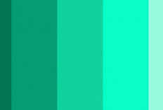 Apa Perbedaan Warna Biru Tosca dan Hijau Tosca? Terlihat Sama Ternyata Jauh Berbeda!