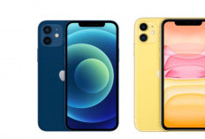 Rekomendasi 8 HP Vivo yang Mirip iPhone 11, Harga Boleh Beda Jauh Tapi Kualitas Bisa Diadu Nih