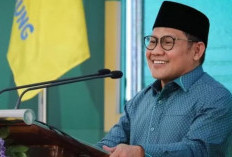 Prestasi Cak Imin (Muhaimin Iskandar) Jadi Cawapres Anies Baswedan, Intip Dereta Pencapaian dalam Politik dan Keagamaan