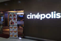 Jadwal Bioskop CINEPOLIS MALANG TOWN SQUARE Weekend 24-26 Maret 2023, Dilengkapi dengan Harga Tiket Terbarunya