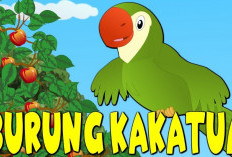 Not Angka Lagu Burung Kakak Tua, Cocok Untuk Belajar Bermain Pianika