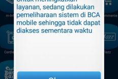 Cara Atasi BCA Error 208 Unable to Authenticate Your Identity Terbaru 2024, Gak Sampe 5 Menit Langsung Bisa!