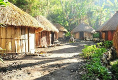 Gempur Rencana Pemekaran Wilayah Papua Selatan, Diharapkan Mampu Membuka Peluang Industri Lokal