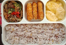 Menu Diet Lunch Box Untuk Suami, Makin Sehat dan Disayang Pasangan!