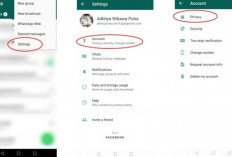 Cara Menghapus Nomor Kontak yang Sudah Diblokir di WhatsApp Sebelumnya, Supaya Hilang dari Daftar Kontak