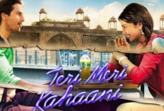 Nonton Film India Teri Meri Kahaani (2012) Full Movie Sub Indo, Romantisnya Shahid Kapoor dan Priyanka Chopra Bikin Gemas!
