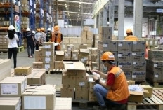 Waspadalah! PT Controlink Logistics Indonesia Penipuan atau Bukan? Fresh Graduate Jangan Sampai Tergiur!