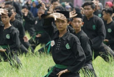 Foto Pagar Nusa Gerakan Silat Keren Terbaru Tahun 2023, Bisa Diikuti dan Dijadikan Profil Whatsapp