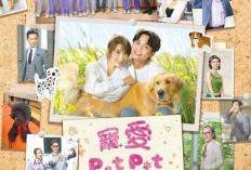 Nonton Drama My Pet My Angel (2023) SUB INDO Full Episode 1-20: Kisah Asmara dan Persahabatan Dokter Hewan yang Penuh Cerita