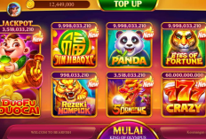 Kode Penukaran Higgs Domino Island Hari Ini, Klaim Segera! Berlimpah Hadiah Gratis Untukmu