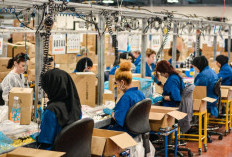 Faktor-Faktor yang Memperngaruhi Kecepatan Proses Produksi Suatu Barang 