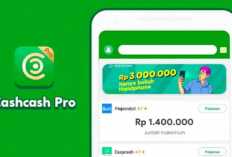 Apakah Cashcash Pro Legal atau Ilegal? WAJIB Tahu Jika Ingin Pinjam Disini