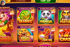 Download Higgs Domino Global Versi 2.24 APK Unlimited Money yang Ada Tombol Kirimnya dan Tanpa Update