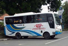 Harga Bus Gilimanuk ke Denpasar Terbaru 2023, Armada Nyaman dan Full AC