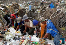 2 Pengangkut Sampah di Hutan Didenda Rp15 Juta Usai Terbukti Lakukan Pelanggaran Pengelolaan Sampah, Begini Kronologinya