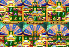 Kumpulan Pola Room Rezeki Nomplok Higgs Domino Terbaru 2024, Wajib Dicoba! Jalan Ninja Banjir Chip Gratis