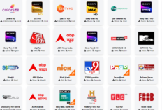 Link URL IPTV Indonesia Premium Gratis 2025, Streaming Film Kesukaan Tanpa Berbayar dan Tanpa Iklan