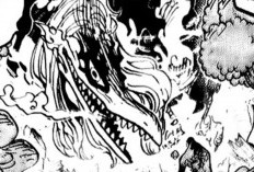 Lire Manga One Piece 1112 VF Scans: 3 Semaines De Vacances, Mise À Jour Ici