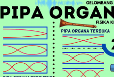 Contoh Soal Pipa Organa Terbuka dan Tertutup Lengkap dengan Kunci Jawaban, Rumus Mudah dan Praktis!