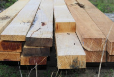 Daftar Harga Kayu  Balok Terupdate Tahun 2023, Sesuaikan dengan Kebutuhan Kalian!