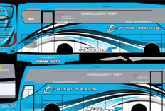 40+ Link Download Livery BussID SHD Terbaru 2023 dan Paling Keren, Main Simulasi Jadi Makin Seru!