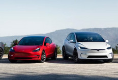Cara Beli Saham Tesla Tahun 2023 Untuk Pemula, Dapatkan Cuan Dengan Investasi di Perusahaan Orang Terkaya di Dunia