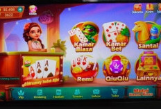 Tempat Bongkaran Chip Higgs Domino Buka 24 Jam Terpercaya 2024, Banyak Bonus dan Diskon Juga!
