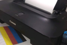 Cara Atasi Error 5100 pada Printer Canon dan Penyebab, Cuma Butuh Beberapa Langkah Berikut Langsung Bisa!