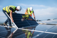 Mengenal Panel Surya, Energi Alternatif Pembangkit Listrik Mandiri yang Aman Untuk Lingkungan