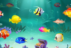 Aplikasi Penghasil Uang FishMaster Penipu? Cek Faktanya Jangan Sampai Kegiur dan Ketipu Penawaran Menarik!