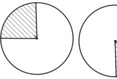 Contoh Soal Matematika Lingkaran yang Diarsir Terbaru Lengkap Dengan Rumus dan Cara Mengerjakannya 